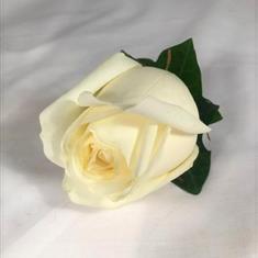 Classic Rose Boutonniere