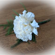 Carnation Boutonniere