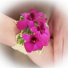Wrist Corsage Dendrobium Orchid