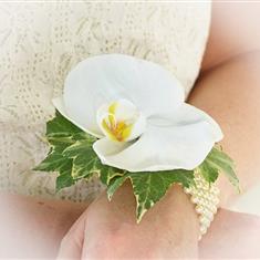 Wrist Corsage Phalaenopsis Orchid