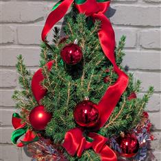 Potted Christmas Tree 4