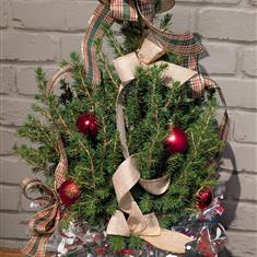 Potted Christmas Tree 5