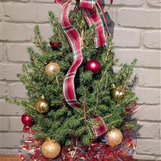 Potted Christmas Tree 6