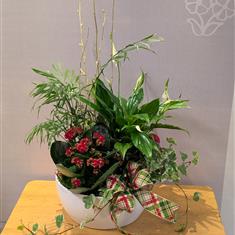 Christmas Planted Ceramic Bowl