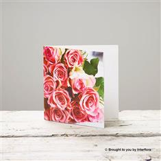 Pink Roses Greetings Card