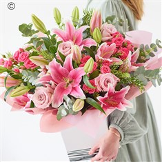 The Lily Rose Romance
