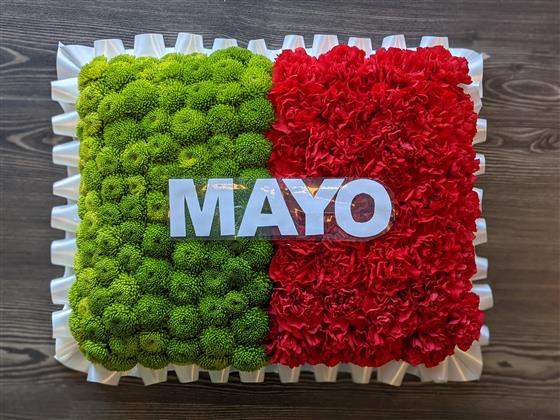 The County Mayo Flag