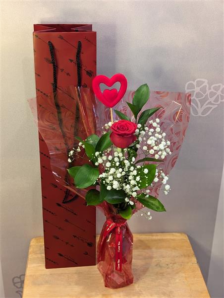 One Love Single Rose Presentation